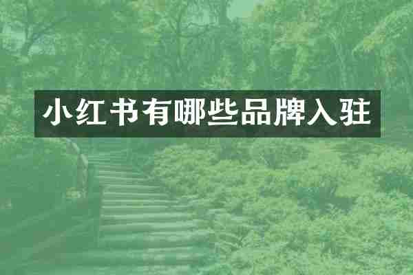 小红书有哪些品牌入驻