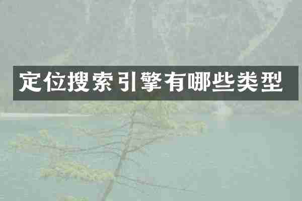 定位搜索引擎有哪些类型
