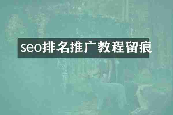 seo排名推广教程留痕