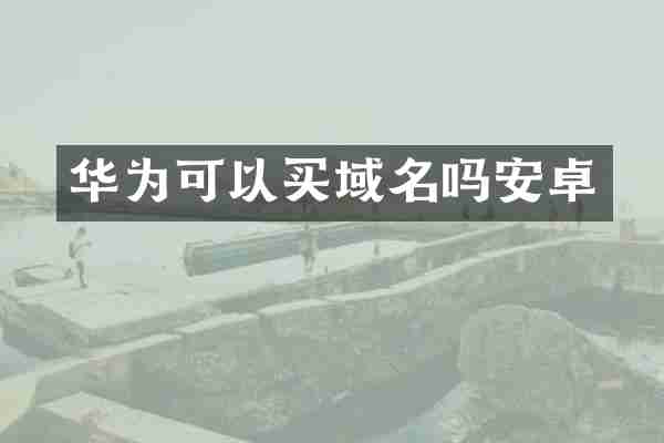 华为可以买域名吗安卓