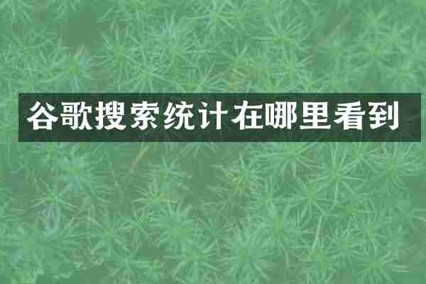 谷歌搜索统计在哪里看到