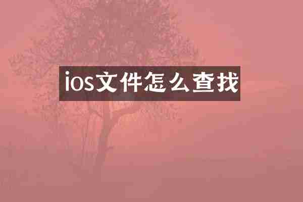 ios文件怎么查找