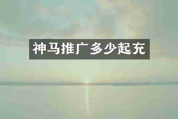 神马推广多少起充