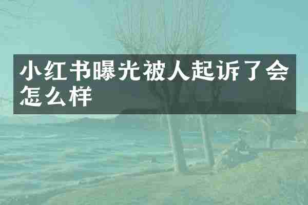 小红书曝光被人起诉了会怎么样