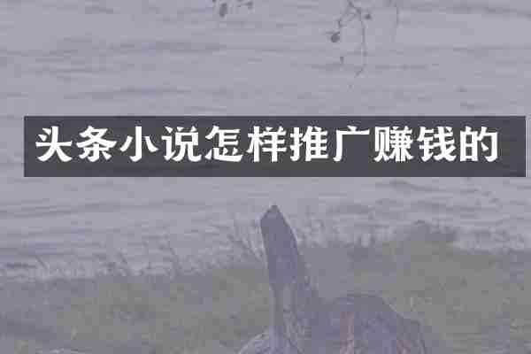 头条小说怎样推广赚钱的