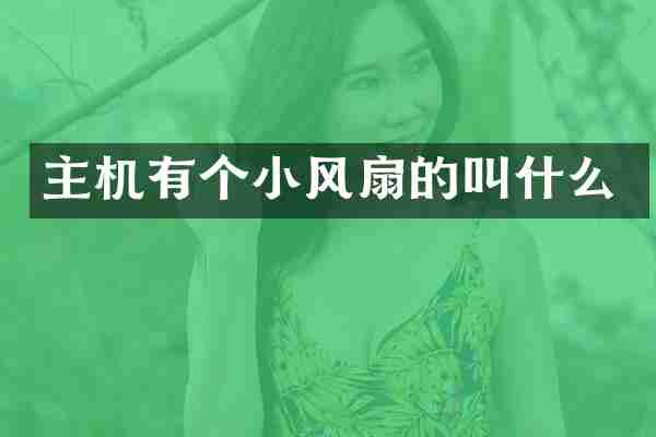 主机有个小风扇的叫什么