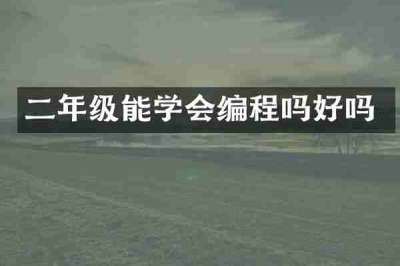 二年级能学会编程吗好吗