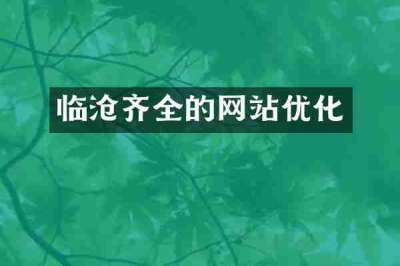 临沧齐全的网站优化