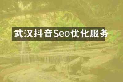 武汉抖音Seo优化服务