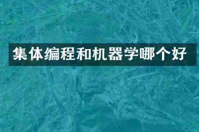 集体编程和机器学哪个好