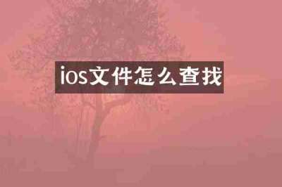 ios文件怎么查找