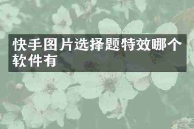快手图片选择题特效哪个软件有