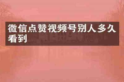 微信点赞视频号别人多久看到