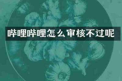 哔哩哔哩怎么审核不过呢