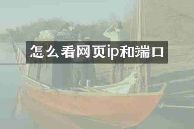 怎么看网页ip和端口