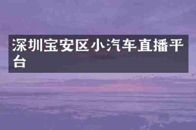 深圳宝安区小汽车直播平台