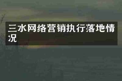 三水网络营销执行落地情况