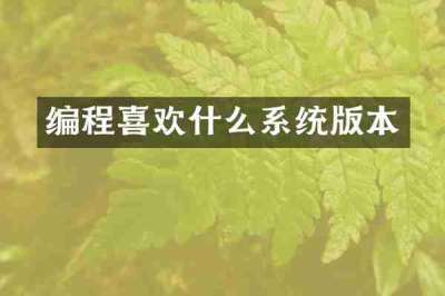 编程喜欢什么系统版本