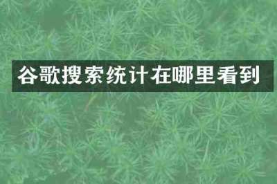 谷歌搜索统计在哪里看到
