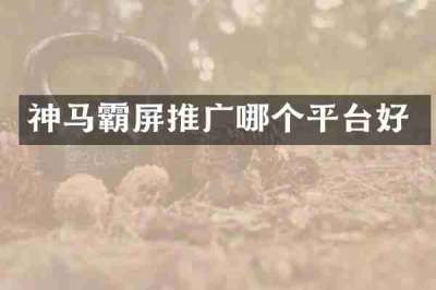 神马霸屏推广哪个平台好