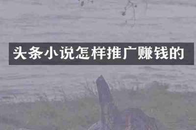 头条小说怎样推广赚钱的