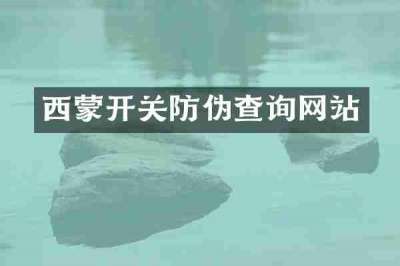 西蒙开关防伪查询网站