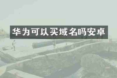 华为可以买域名吗安卓
