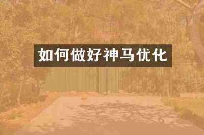 如何做好神马优化