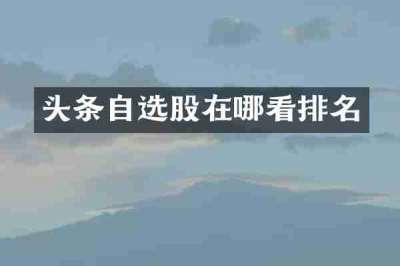 头条自选股在哪看排名