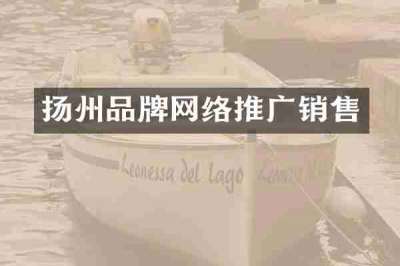 扬州品牌网络推广销售