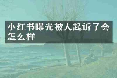 小红书曝光被人起诉了会怎么样