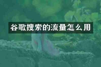 谷歌搜索的流量怎么用