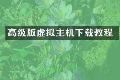 高级版虚拟主机下载教程
