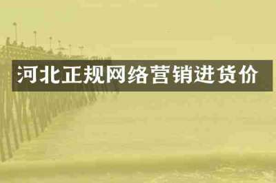 河北正规网络营销进货价