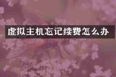 虚拟主机忘记续费怎么办