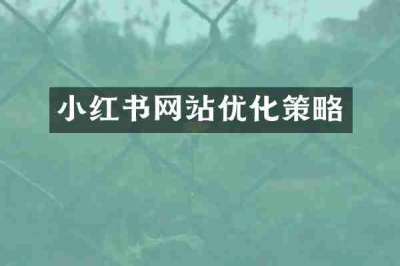 小红书网站优化策略