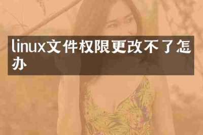 linux文件权限更改不了怎么办
