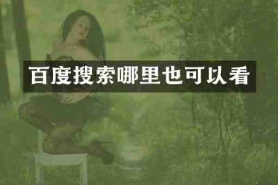 百度搜索哪里也可以看