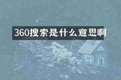 360搜索是什么意思啊