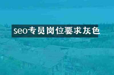 seo专员岗位要求灰色
