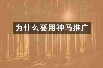 为什么要用神马推广