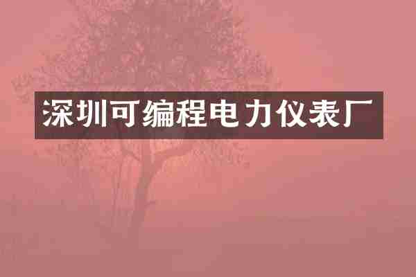 深圳可编程电力仪表厂