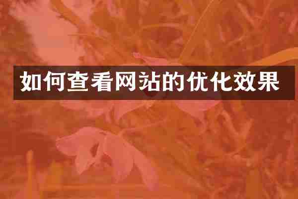 如何查看网站的优化效果
