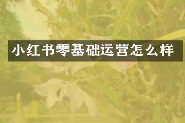 小红书零基础运营怎么样