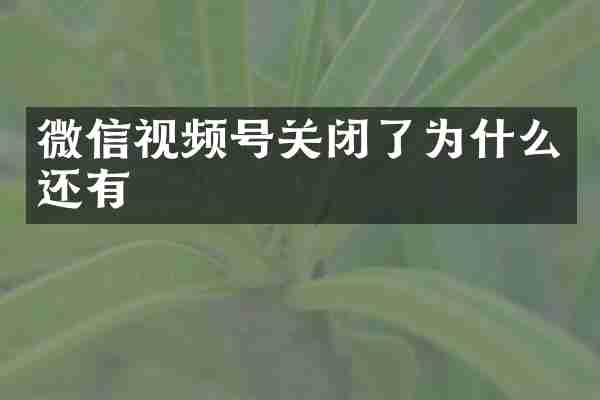 微信视频号关闭了为什么还有