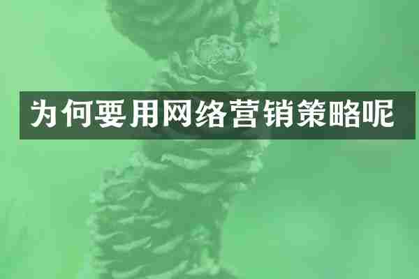 为何要用网络营销策略呢