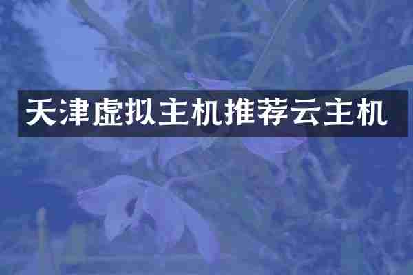 天津虚拟主机推荐云主机