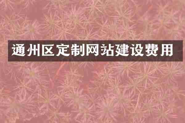 通州区定制网站建设费用