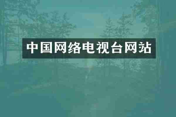 中国网络电视台网站