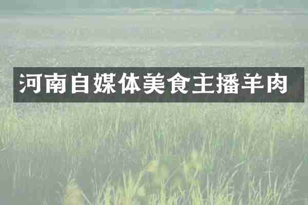 河南自媒体美食主播羊肉